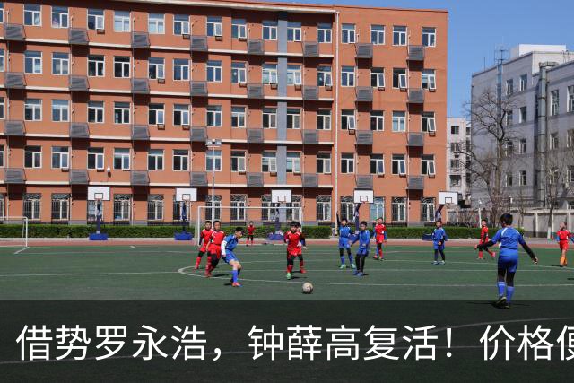 借势罗永浩，钟薛高复活！价格便宜了一半，网友：终于被治服了